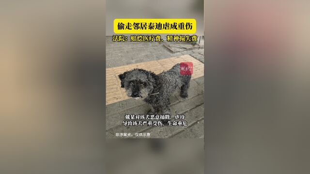 常州一女子偷邻居泰迪虐成重伤,法院判赔精神损失费