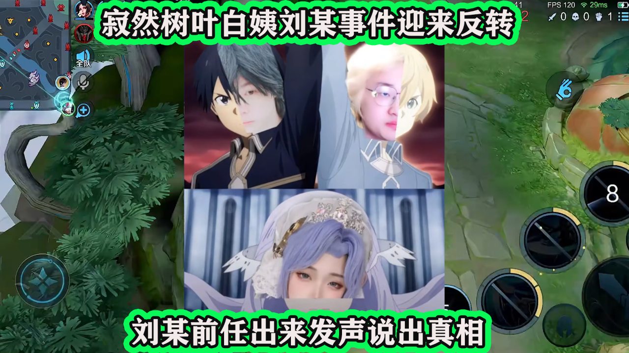 寂然树叶白姨事件迎来反转,刘某的前任发声:始作俑者是白姨_腾讯新闻