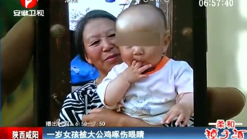 1岁女孩被大公鸡啄伤眼睛 奶奶自责哭泣