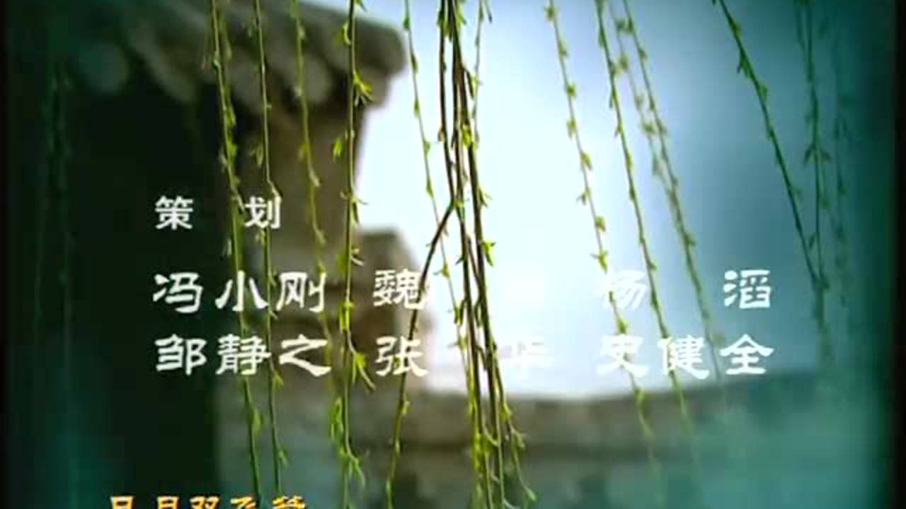我这一辈子 14集