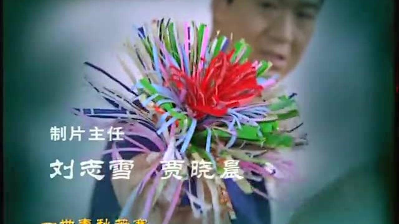 我这一辈子 9集