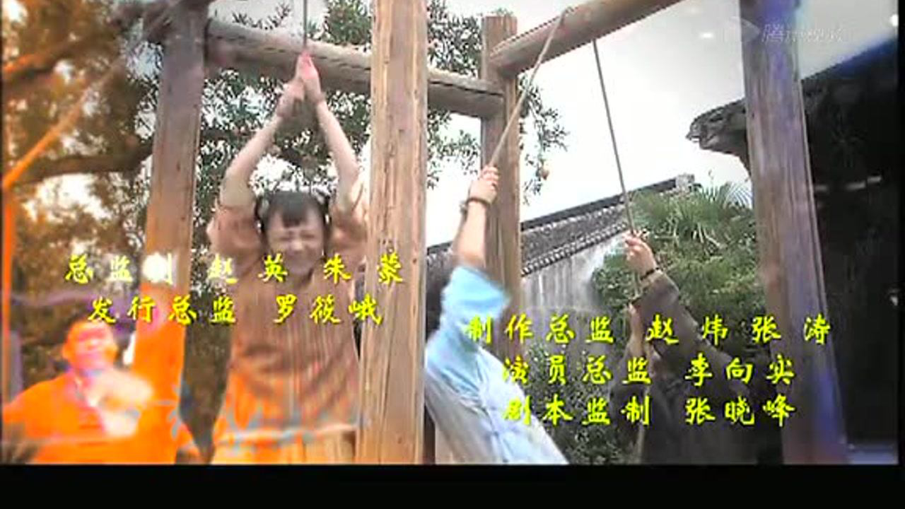 大屋的丫鬟们 28集