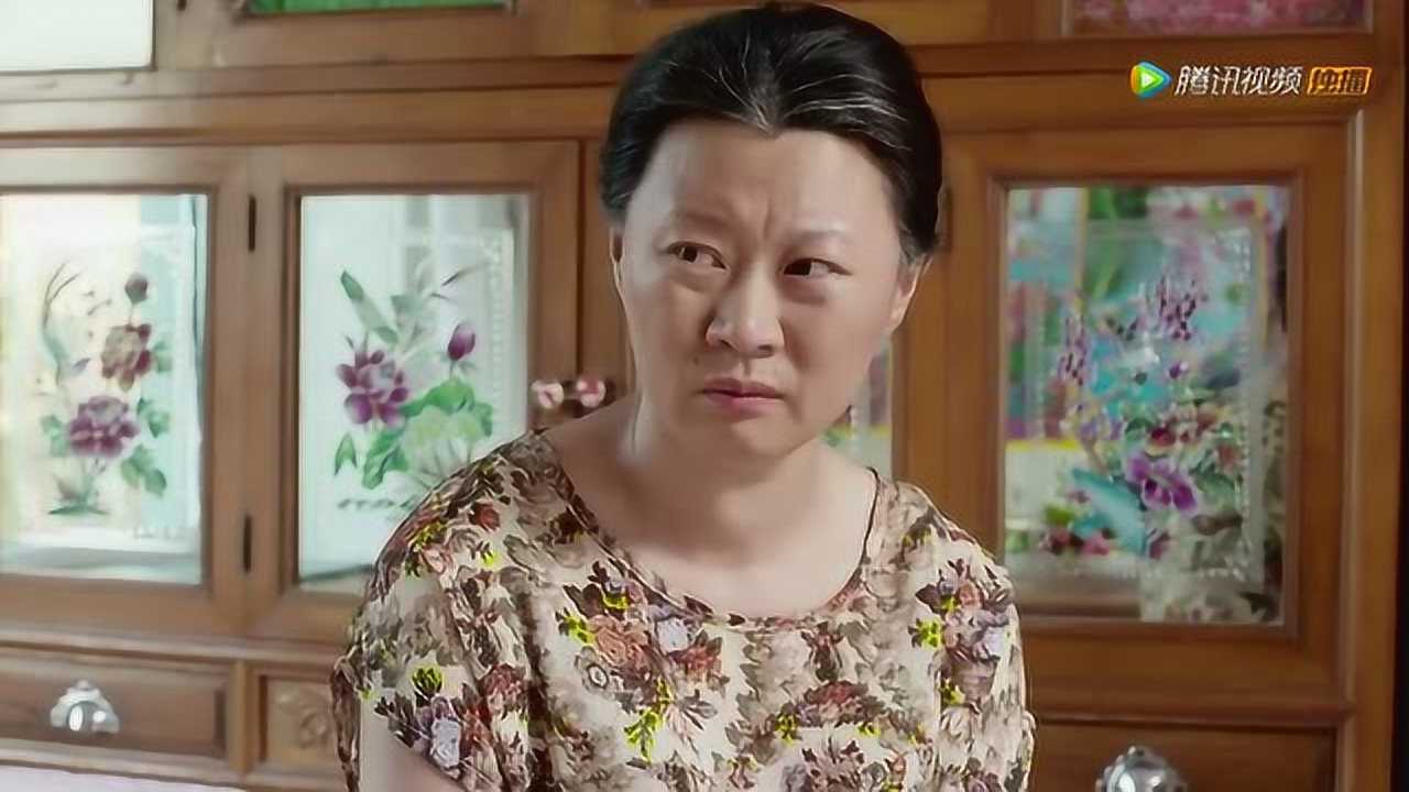 乡村爱情8（上） 23集