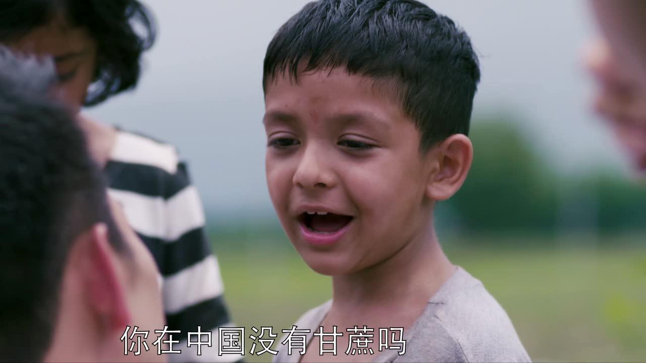 如果蜗牛有爱情 16集