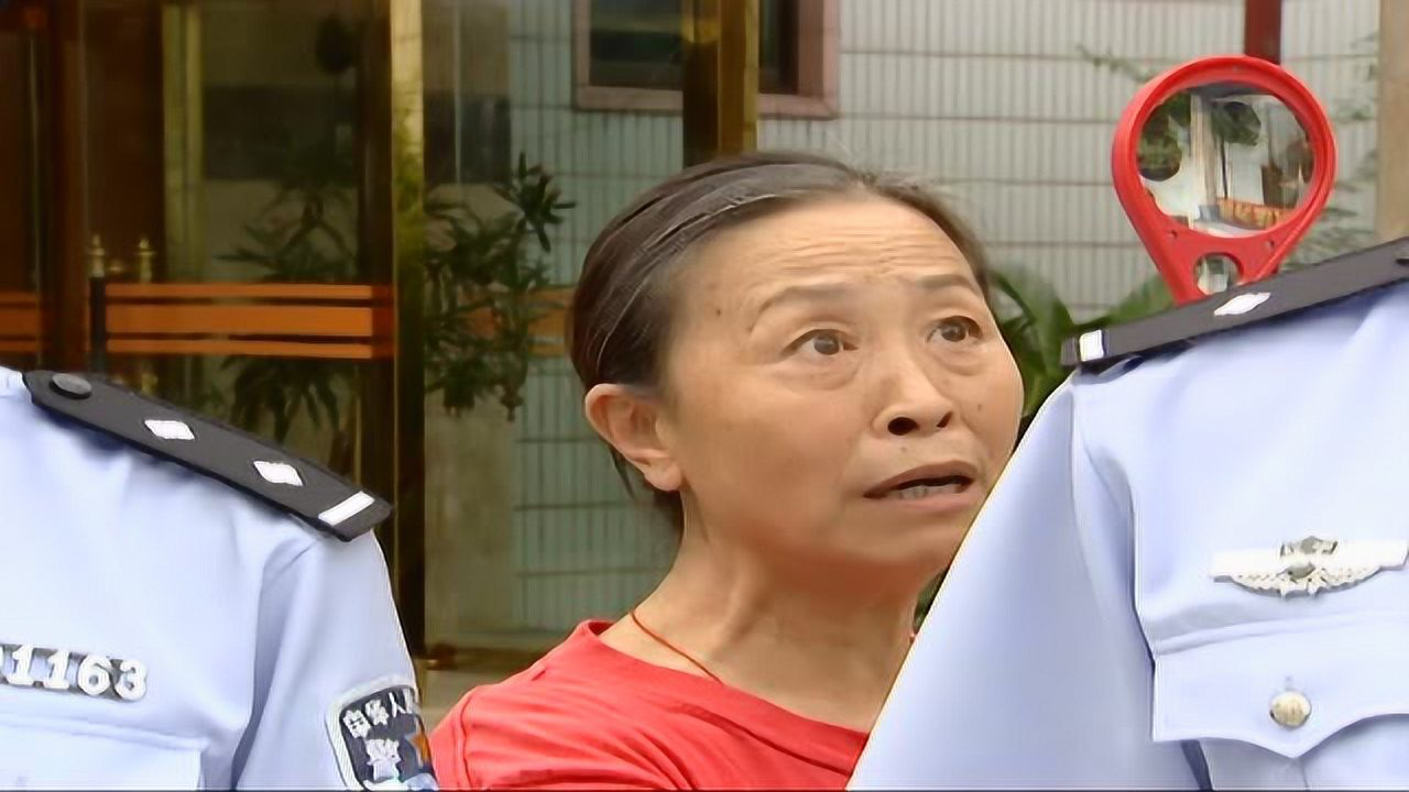 红灯绿灯 13集