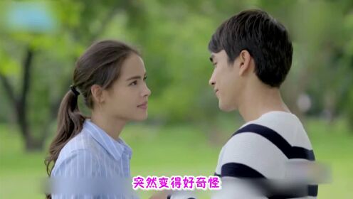 命中注定我爱你[泰国版][普通话] 2017年泰剧年终盘点:不撕逼不狗血