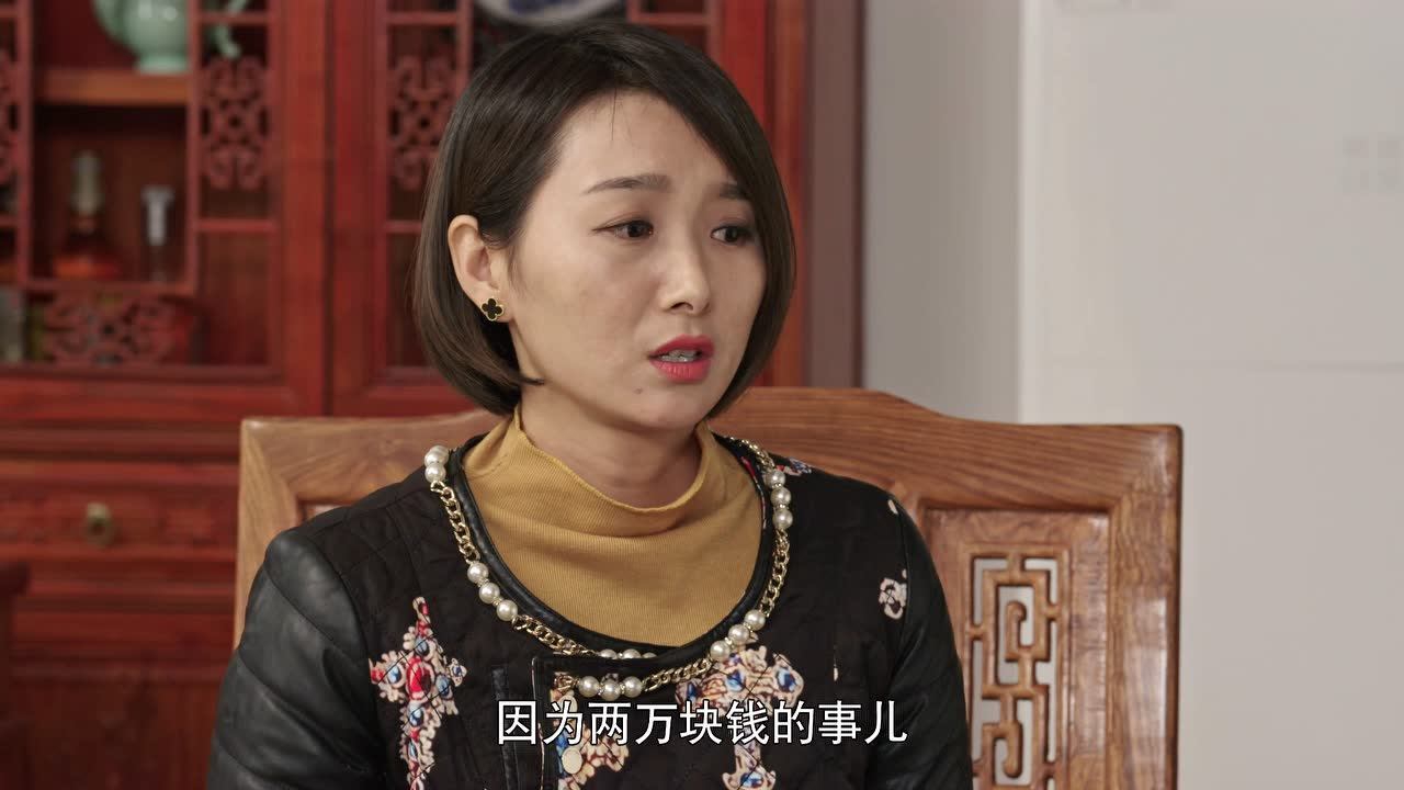乡村爱情10（下） 11集