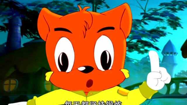 虹猫蓝兔你问我答  第77集 怎样才能瘦下来