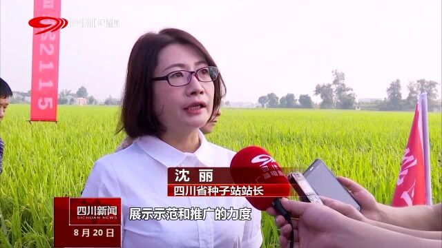 推进农业供给侧结构性改革 由量转质 种植户效益更好