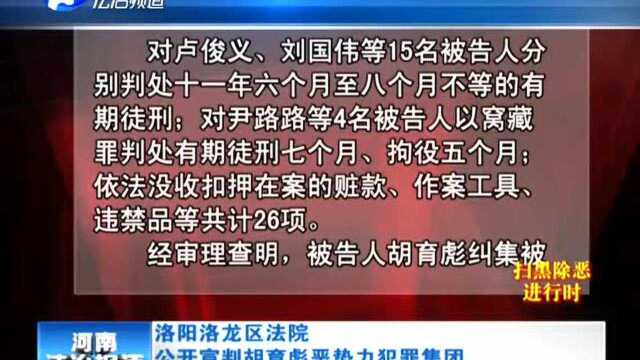 洛阳洛龙区法院 公开宣判胡育彪恶势力犯罪集团