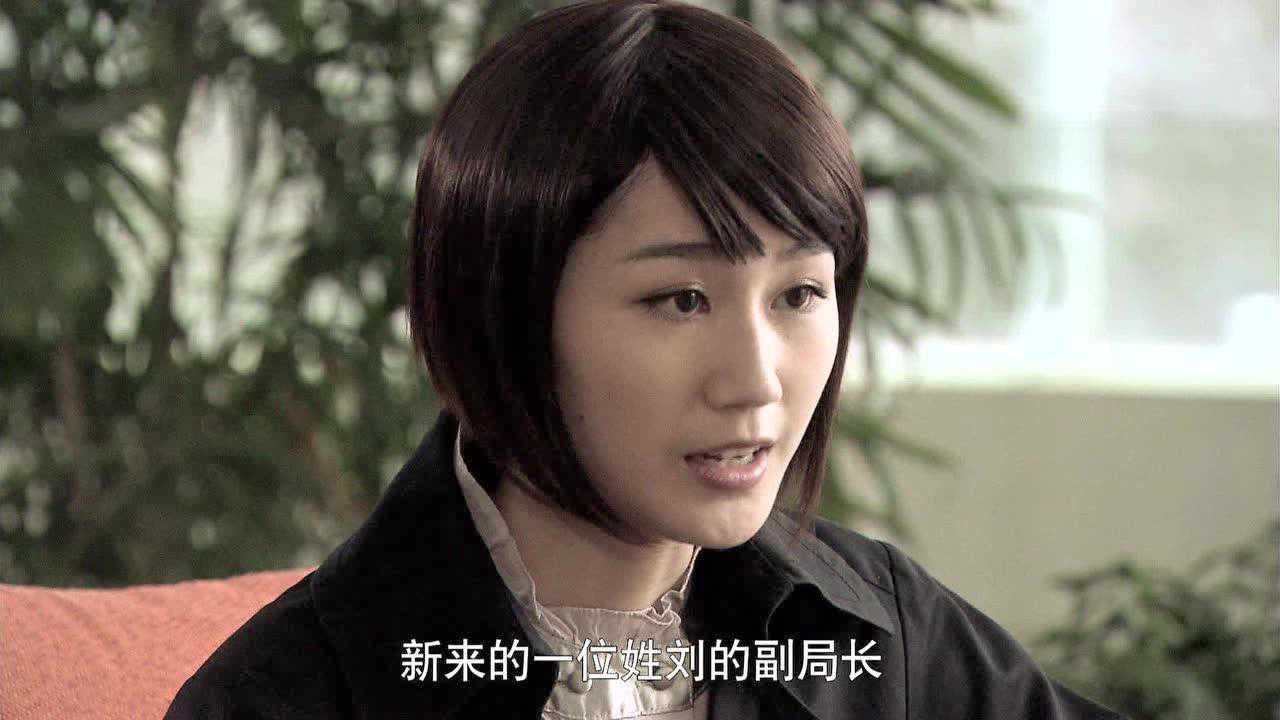 惊雷行动 14集