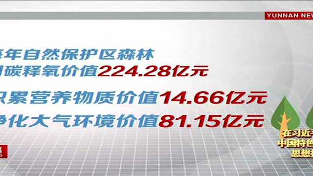 建设中国最美省份 2018年度云南省自然保护区森林生态系统服务功能价值评估报告出炉