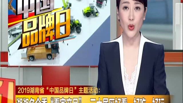 2019湖南省“中国品牌日”主题活动:湖湘名企秀“看家产品” 三大展区好看、好吃、好玩