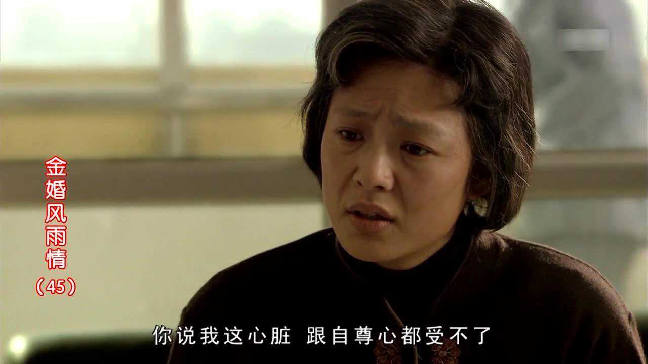 金婚风雨情 45集