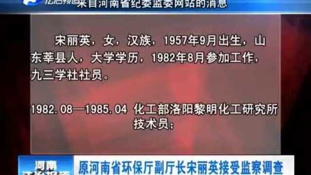 原河南省环保厅副厅长宋丽英接受监察调查