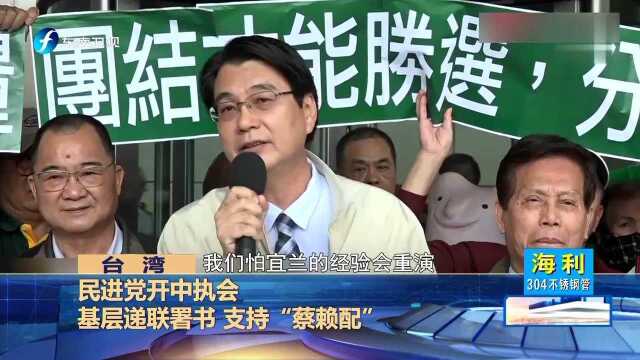 民进党开中执会 基层递联署书 支持“蔡赖配”