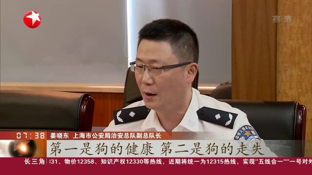 上海:警方拟推动《养犬管理条例》修订