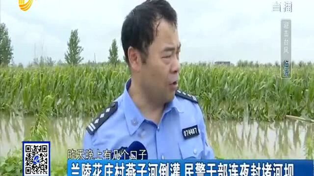 花庄村燕子河倒灌 民警干部连夜封堵河坝