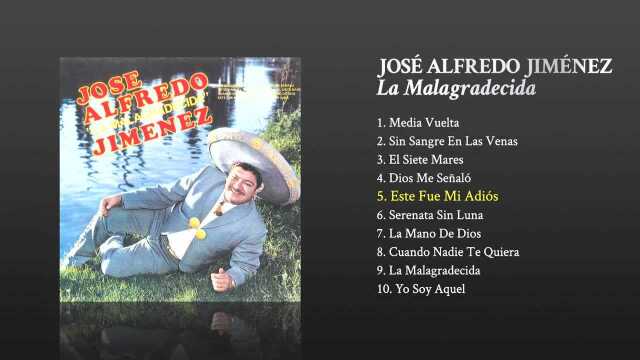 Este Fue Mi Adi㳳 (Cover Audio)