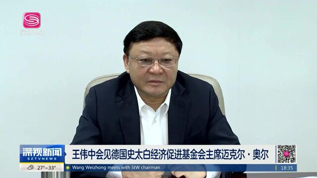 王伟中会见德国史太白经济促进基金会主席迈克尔ⷮŠ奥尔