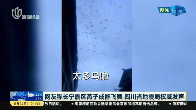 网友称长宁震区燕子成群飞舞 四川省地震局权威发声