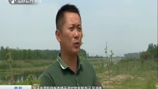 泗阳:公共空间治理 助力乡村振兴