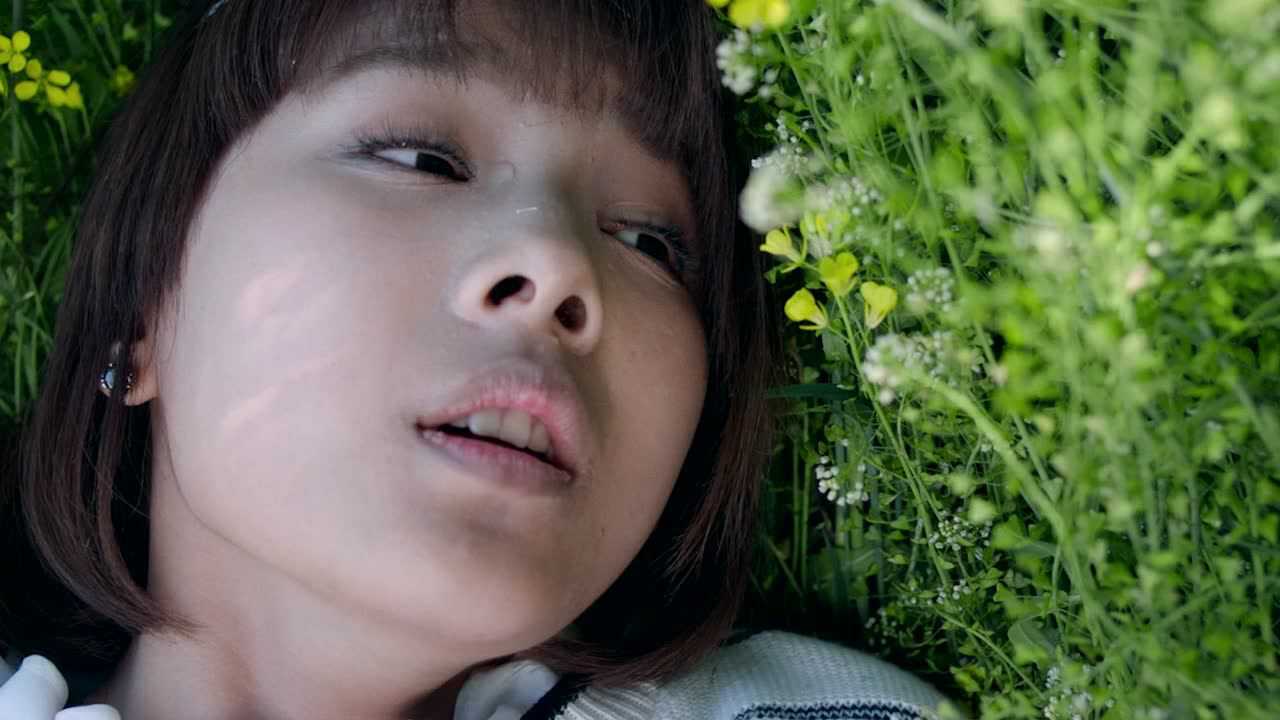 白狐的人生 23集