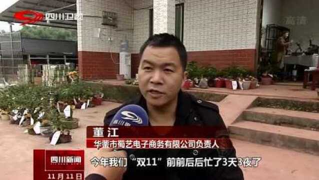 “双11”华蓥金弹子成“网红”