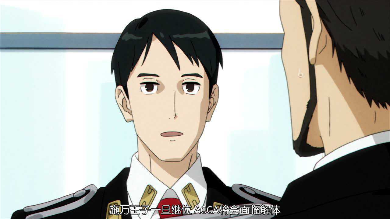 acca13区监察课 11集