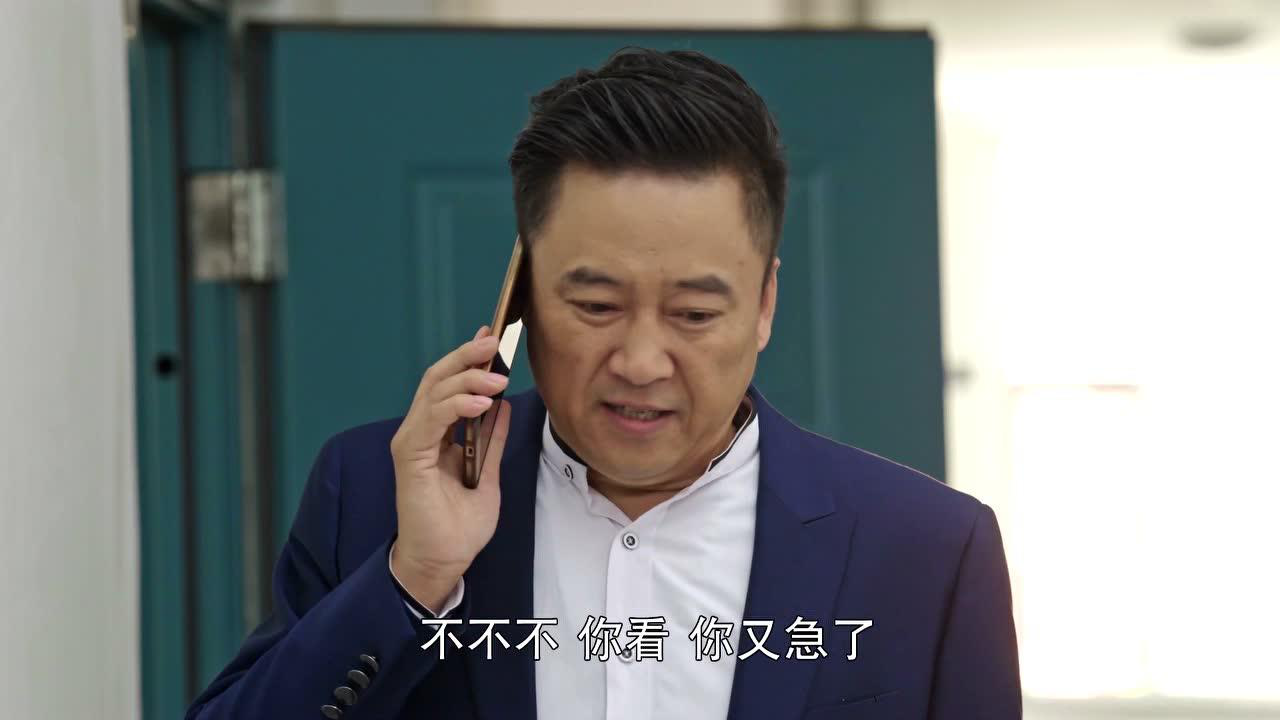 乡村爱情10（上） 25集