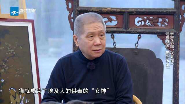 学生亲密接触“观复猫”,马未都追根溯源给学生们讲述猫的历史