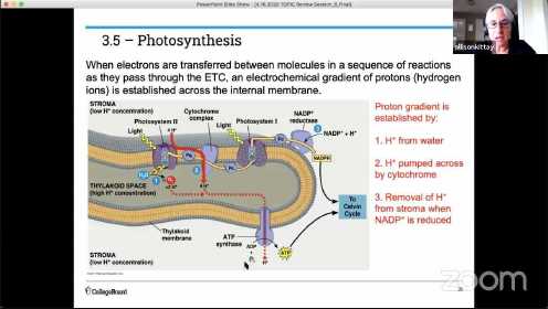 AP Biology_ Photosynthesis - Investigation 5