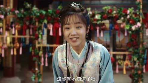 少爷与我的罗曼史 19集