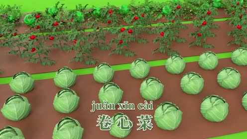 工程宝宝行动队 18集