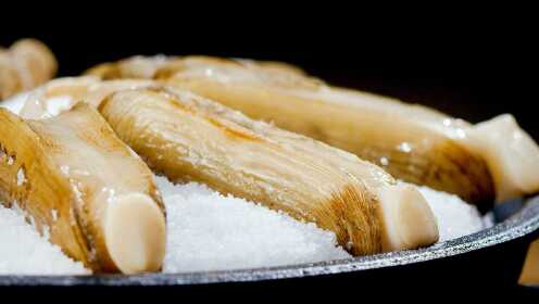 第11集 盐焗蛏:被盐引诱的蛏子