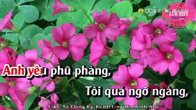 䐆𐡻ng X氡 Kỷ Niệm  Tone Nữ