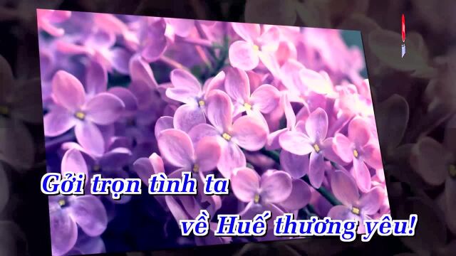 Huế T㬮h Y㪵 Của T㴩