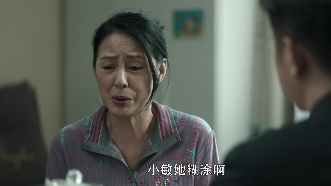 扫黑风暴 9集