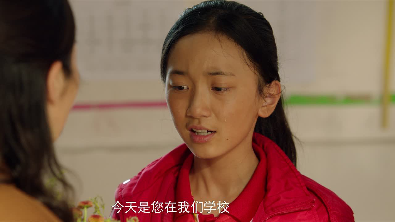 在希望的田野上 15集