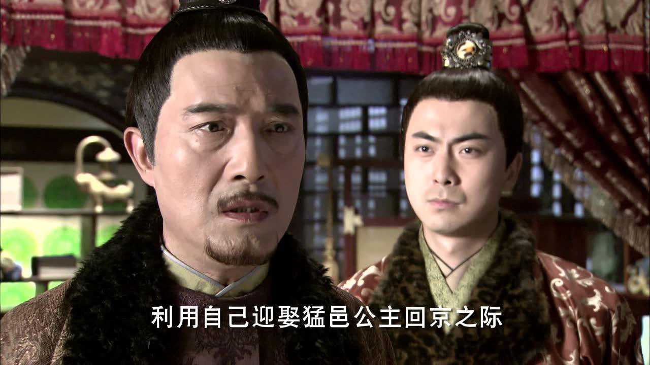 失宠王妃之结缘 34集