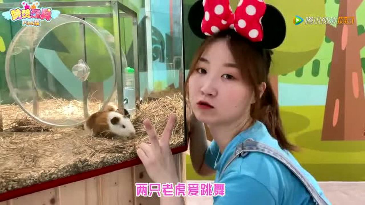 赞赞玩具Pink探：儿童乐园 26集