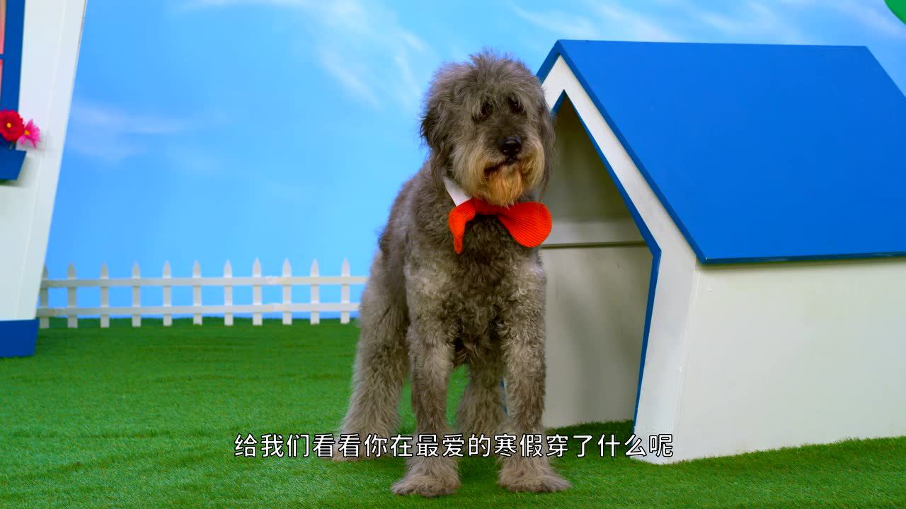 艾摩的世界[普通话版] 29集