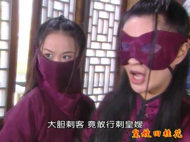 皇嫂田桂花2 20集
