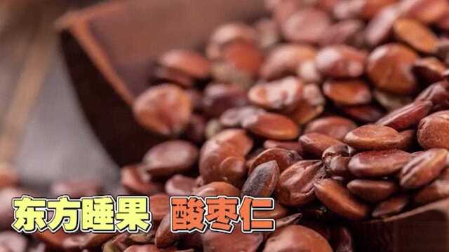 睡眠法宝“东方睡果”酸枣仁