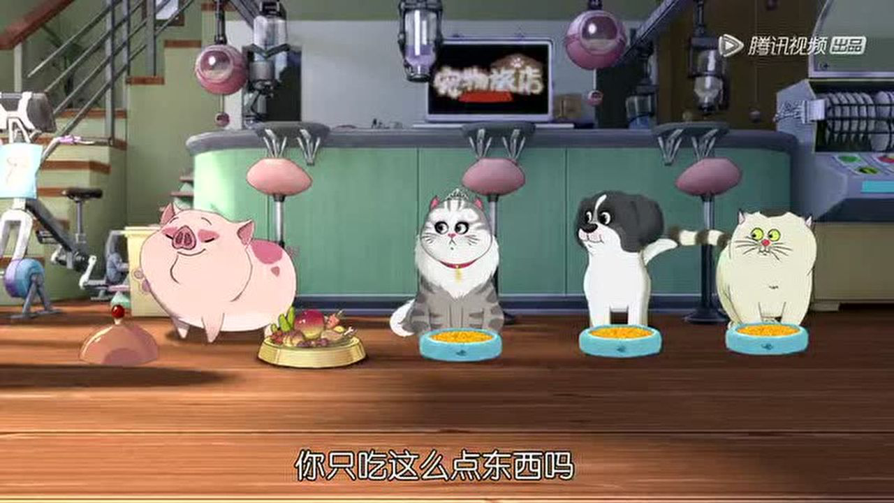宠物旅店 12集