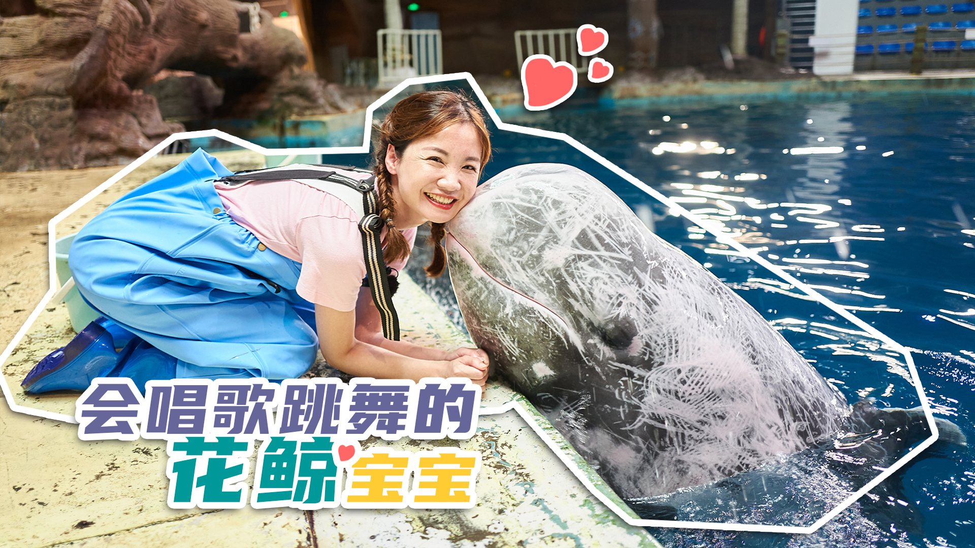 小丹姐姐拼世界 12集
