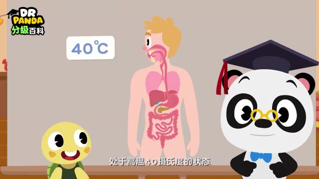 第04集:为什么病毒没让蝙蝠生病?(蝙蝠Bat 动物Animal)