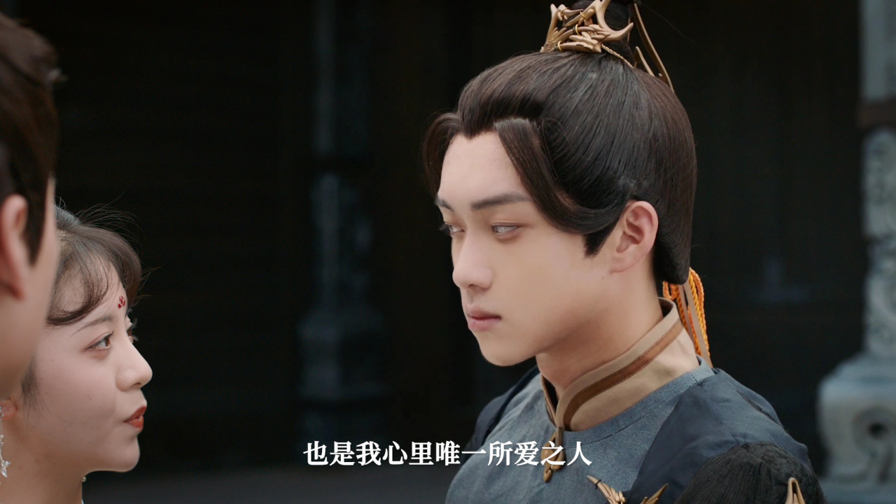进击的王妃 15集