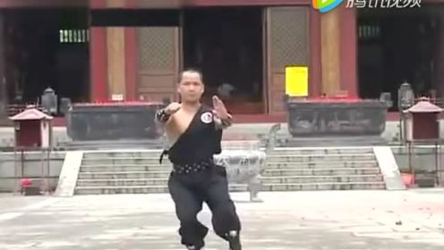 南拳王出手演习刚健的虎鹤双行拳