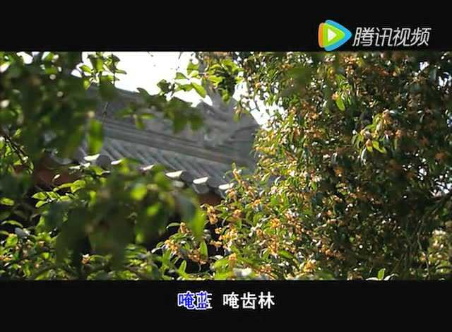 准提咒(陆墨妮)_腾讯视频